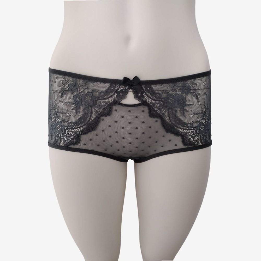 Adore Me Gray Sheer Mesh Polka Dot and Lace Hipster Panty With Cutouts S…